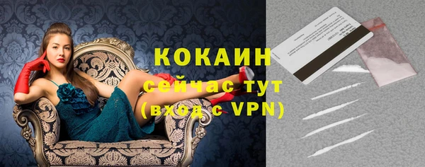молекула духа Михайловск