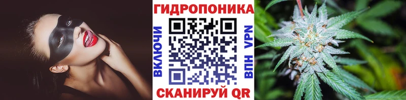 Канабис Bruce Banner  Купить где  Ржев 